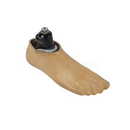 Prosthetic Foot